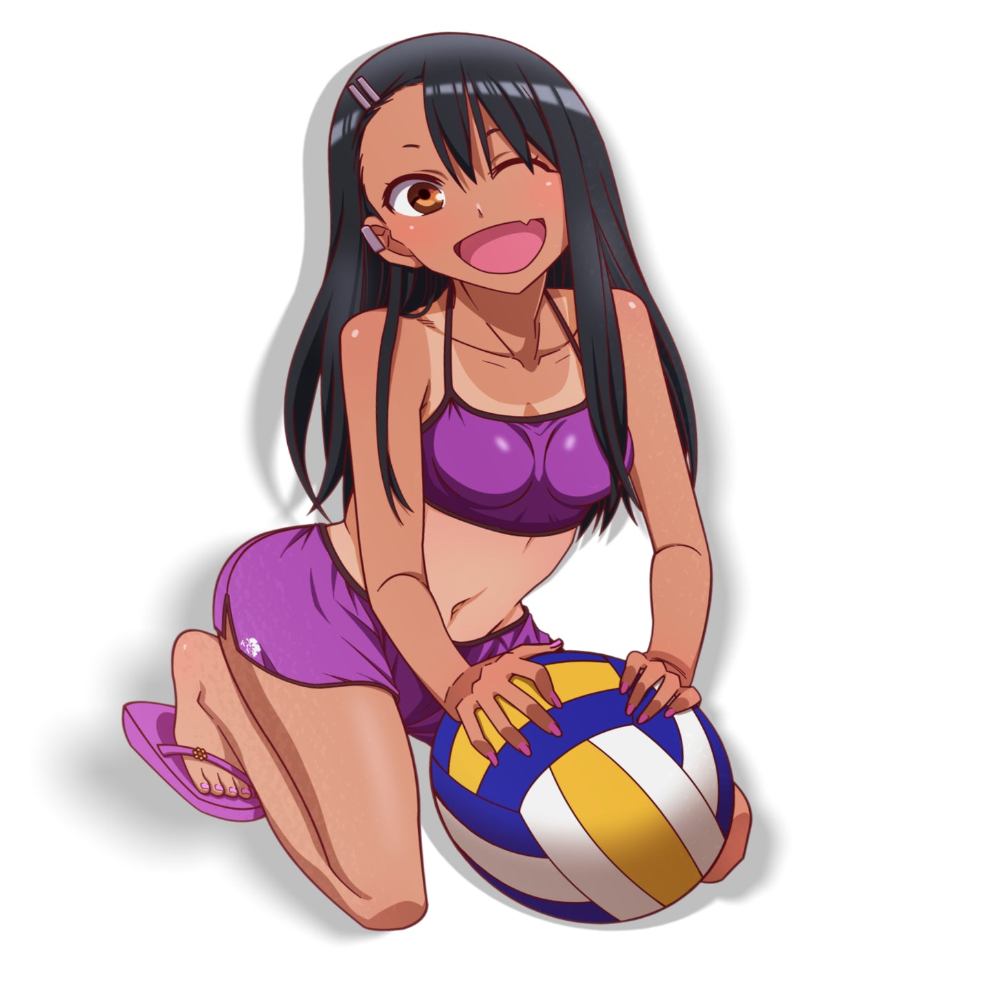 Nagatoro Volleyball V2